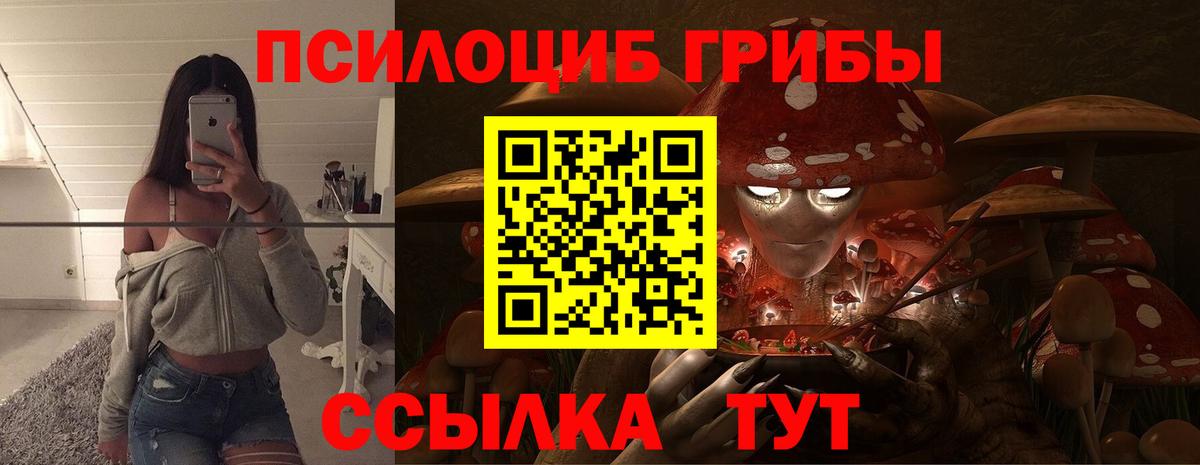 Псилоцибиновые грибы Cubensis  где продают наркотики  Галлюциногенные грибы Cubensis  Чусовой  Вход с VPN 